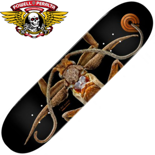 Plateau Powell Peralta Pro Series Biss Marion Moth 8.25"